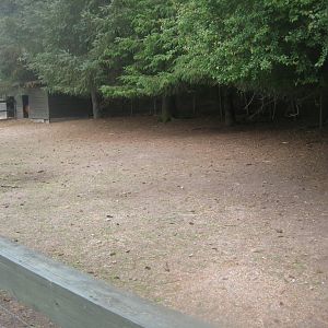 Hobro Minizoo - Pony exhibit