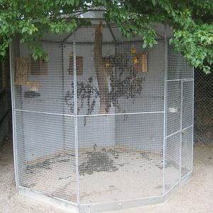 Hobro Minizoo - Lovebird aviary
