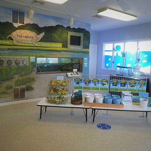 Terrapin Station - General View