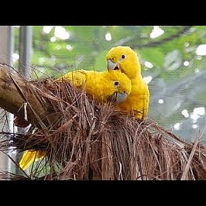 Overview of BioParque do Rio