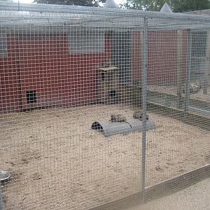 Hobro Minizoo - Banded mongoose exhibit