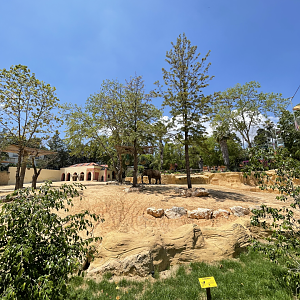 New African Elephant Exhibit