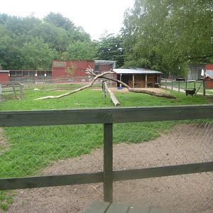Hobro Minizoo - Goat exhibit