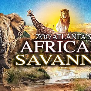 The New and Improved African Savanna | Zoo Tours