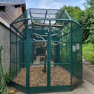 Amazon aviary - Bioparc Genève