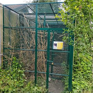 Edwards's pheasant aviary (Lophura edwardsi) - Bioparc Genève