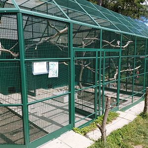 Aviary housing different species of birds - Bioparc Genève