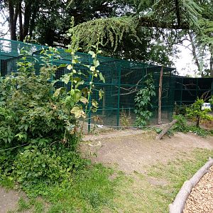 Small aviaries for different species of birds - Bioparc Genève