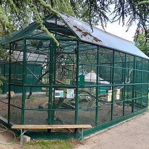 Macaws aviary - Bioparc Genève