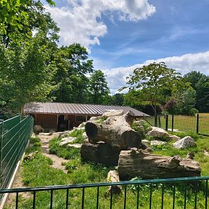 Goat enclosure - Bioparc Genève