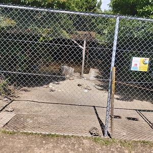Tortoise and rabbit enclosure