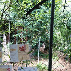 Typical carnivore aviary (here's the fossa's one) - Bioparc Genève