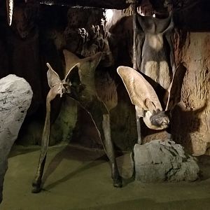 Maryland Zoo - Bat statues