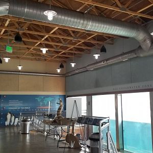 Maryland Zoo - Inside penguin education center