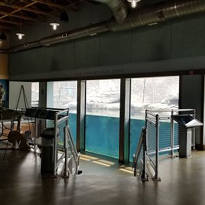 Maryland Zoo - Inside penguin education center