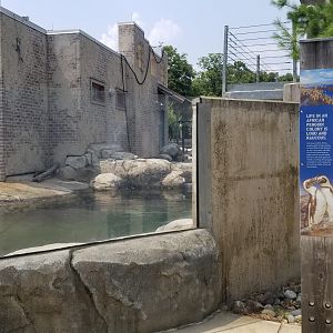 Maryland Zoo - Penguin Coast