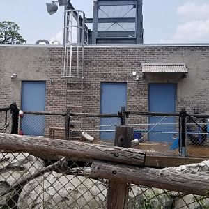 Maryland Zoo - Penguin Coast, side of penguin barn