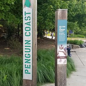 Maryland Zoo - Penguin Coast