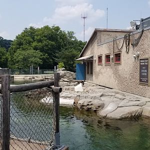 Maryland Zoo - Penguin Coast