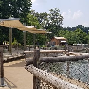 Maryland Zoo - Penguin Coast, sitting area