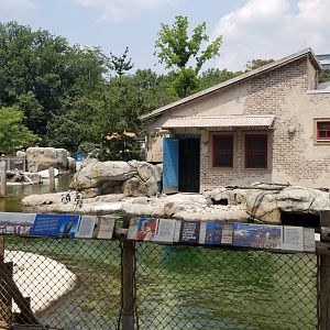 Maryland Zoo - Penguin Coast