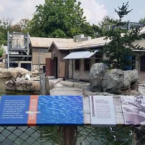 Maryland Zoo - Penguin Coast