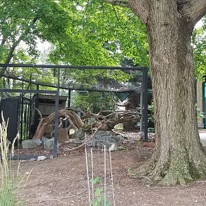Maryland Zoo - Polar Bear Watch, former raven exhibit