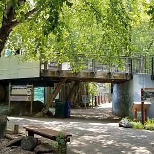 Maryland Zoo - Polar Bear Watch