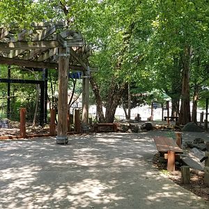 Maryland Zoo - Polar Bear Watch