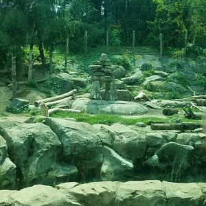 Maryland Zoo - Polar Bear Watch