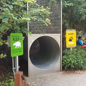 Maryland Zoo - Polar Bear Watch, bear trap