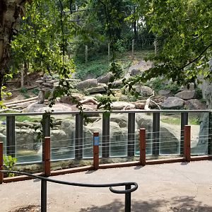 Maryland Zoo - Polar Bear Watch