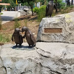 Maryland Zoo - African penguin statue