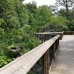 Maryland Zoo - African Journey path