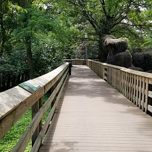 Maryland Zoo - African Journey path