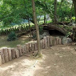 Maryland Zoo - Tortoises