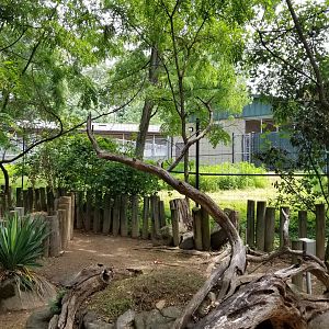 Maryland Zoo - Sitatunga, african aviary barn behind tortoises