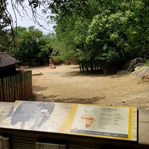 Maryland Zoo - End of rhino, zebra, ostrich yard