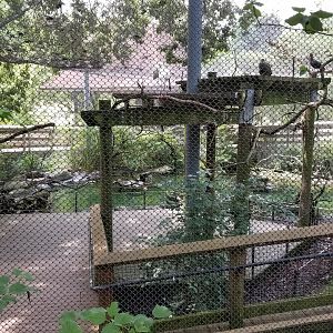Maryland Zoo - African aviary