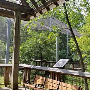 Maryland Zoo - Maryland Aviary