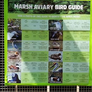 Maryland Zoo - Maryland Aviary