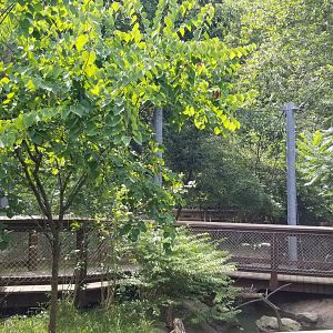 Maryland Zoo - Maryland Aviary