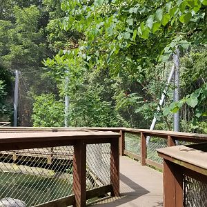 Maryland Zoo - Maryland Aviary