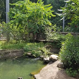 Maryland Zoo - Maryland Aviary