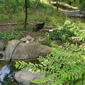 Maryland Zoo - Maryland Aviary