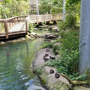 Maryland Zoo - Maryland Aviary
