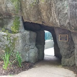 Maryland Zoo - NA River Otter tunnel entrance