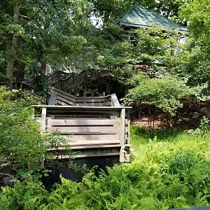 Maryland Zoo - Maryland Wilderness stairs