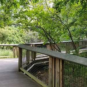 Maryland Zoo - Maryland Wilderness ramps