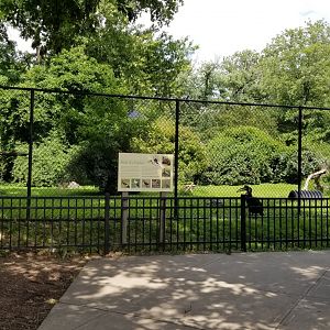 Maryland Zoo - Front northern ground hornbill exhibit